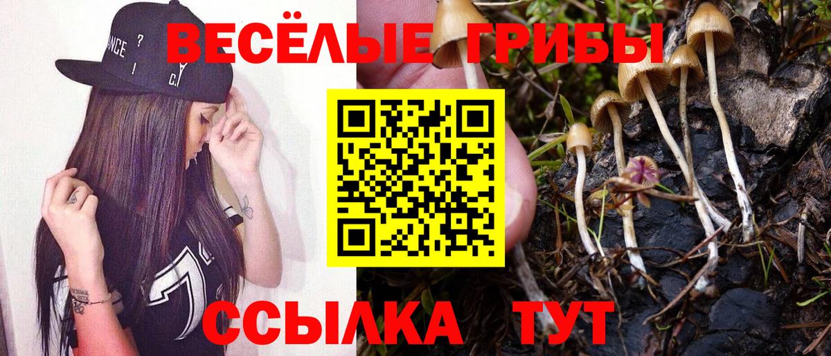 Псилоцибиновые грибы Magic Shrooms  Вход с VPN  Гатчина 